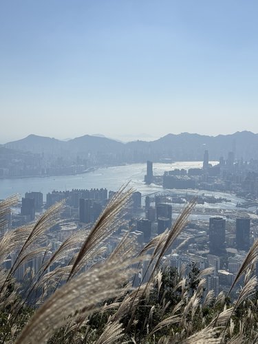 I haven't expected this side of Hong Kong